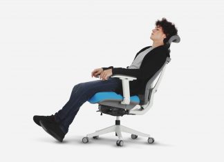 Office Chair Showdown: Ergo Chair 2 vs ALEFJÄLL Office chair