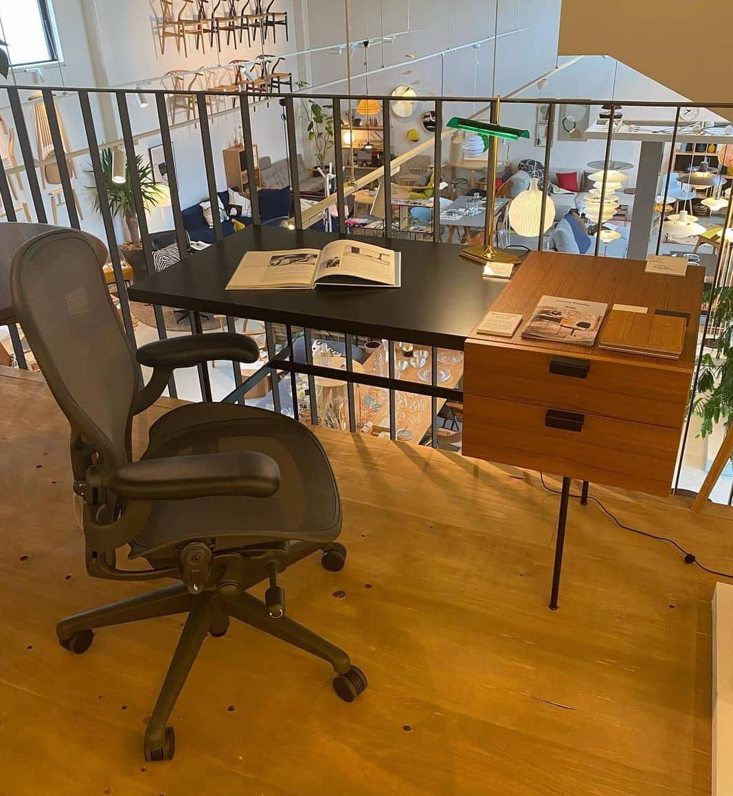 SCOPE OF USERS with Aeron chair