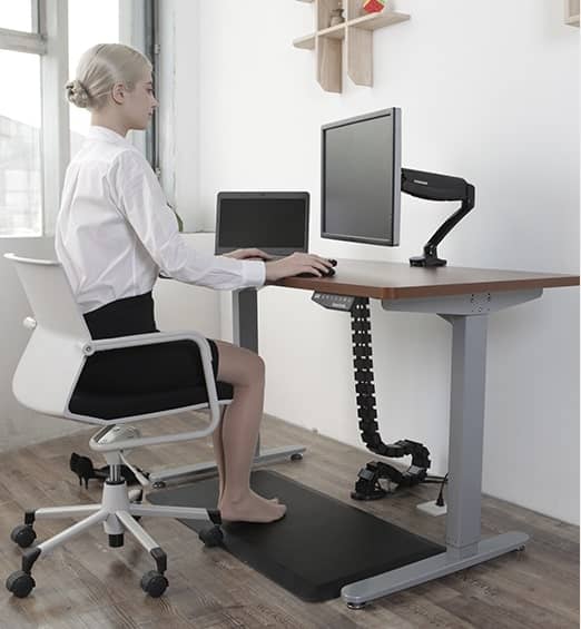 loctek standing desk review by WFHWorld