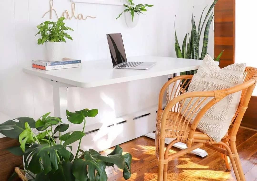 EC1W flexispot - best standing desk under $500