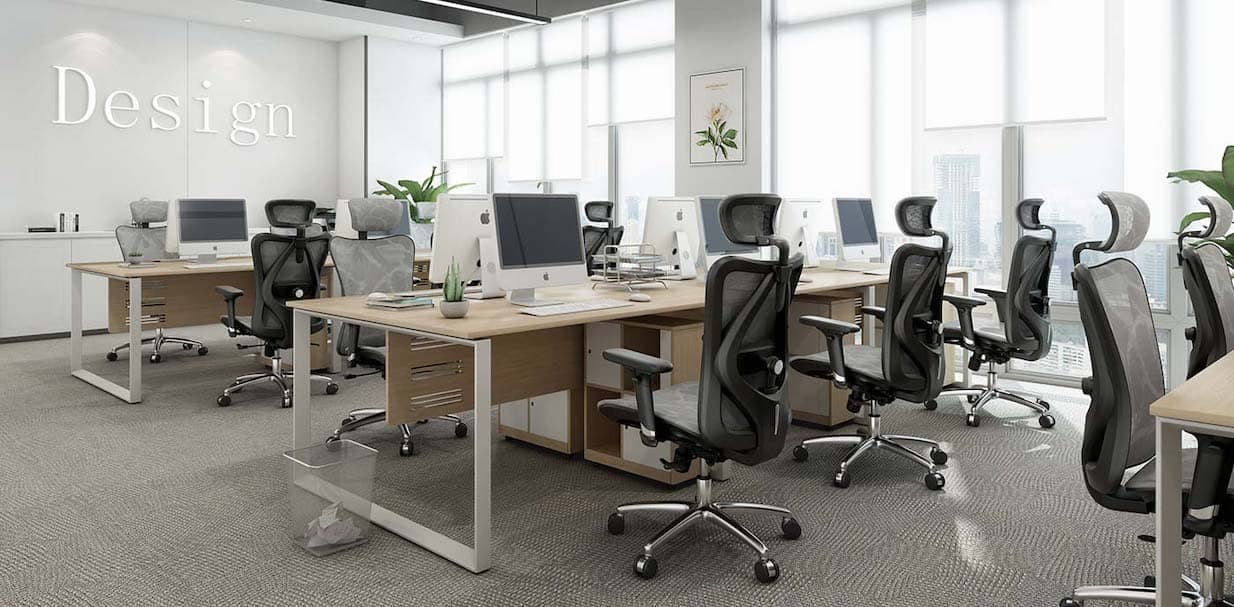 SIHOO Ergonomic Office Chair mesh