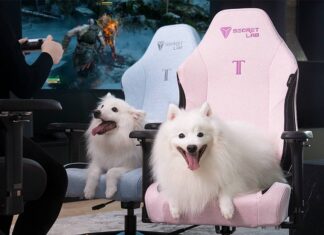 Noblechairs Hero vs Secretlab Titan EVO 2022 – Battle Between Two Prime Gaming Chairs Noblechairs Hero vs Secretlab Titan EVO 2022 showdown