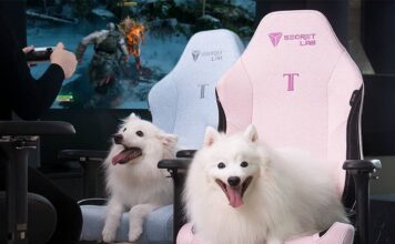 noblechairs HERO vs Secretlab Titan Evo (2026): the prestige showdown Noblechairs Hero vs Secretlab Titan EVO 2022 showdown