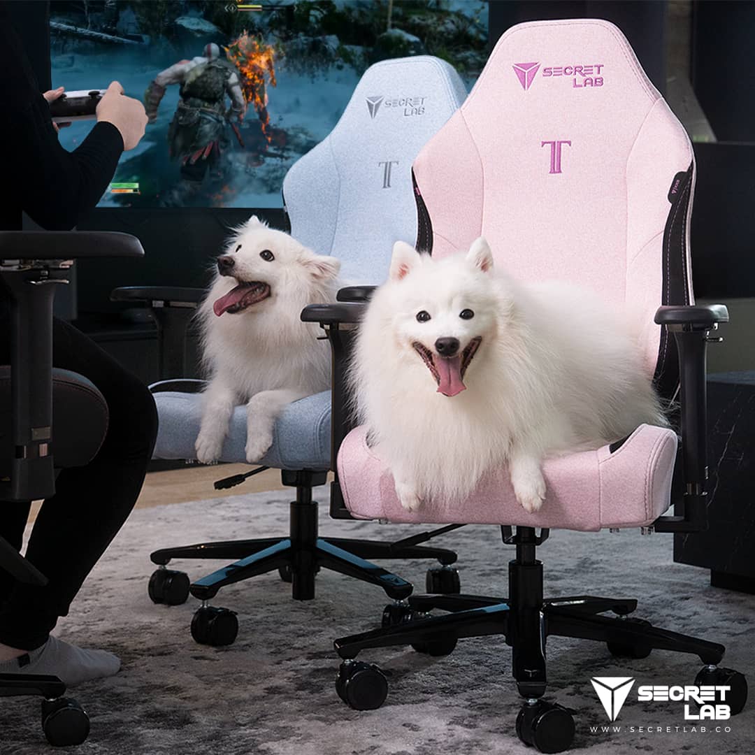 Hero vs Secretlab Titan EVO 2026