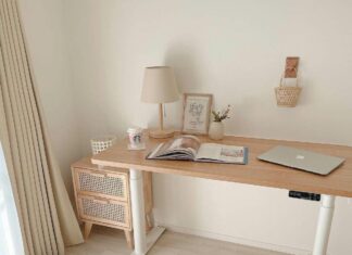 Flexispot standing desk EN1 vs EC1 – Are We Really Not Looking at the Same Desk? Flexispot standing desk