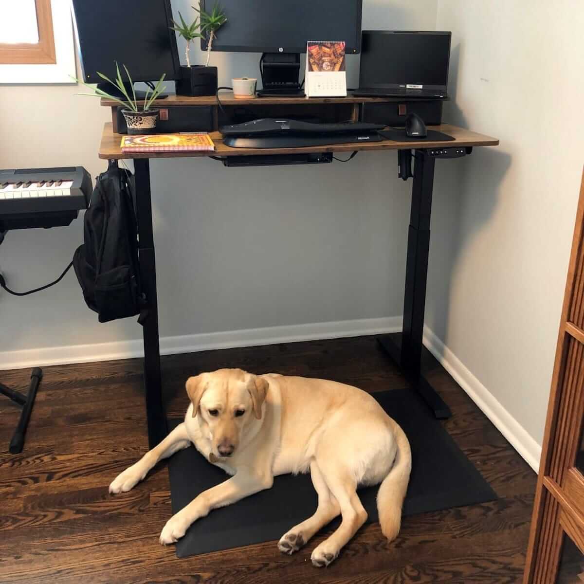Fezibo standing desk