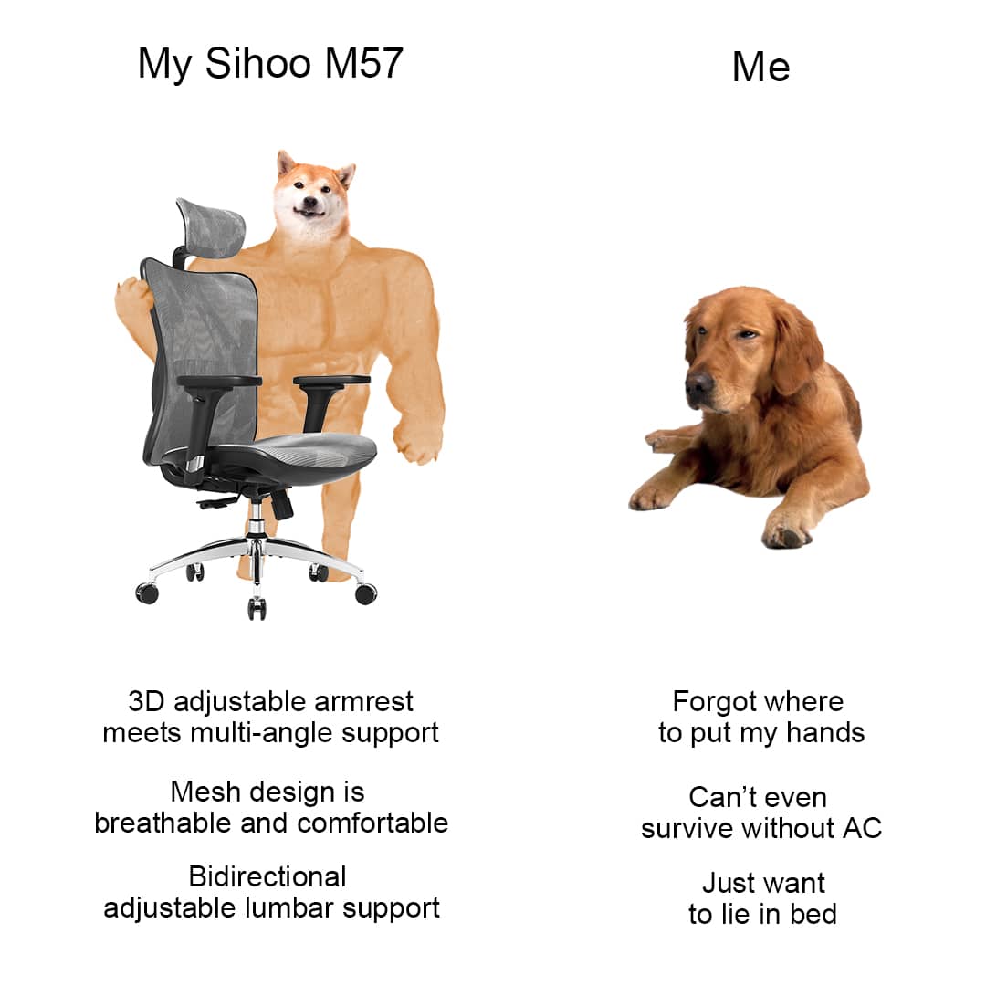m57 chair funny