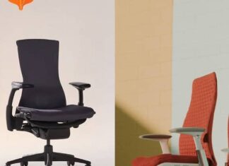 Haworth Fern vs Embody: Which is more Comfy for the Back Embody vs Fern