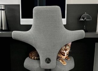 Can You Sit in this Håg Capisco Quirky Chair Longer? Håg Capisco chair