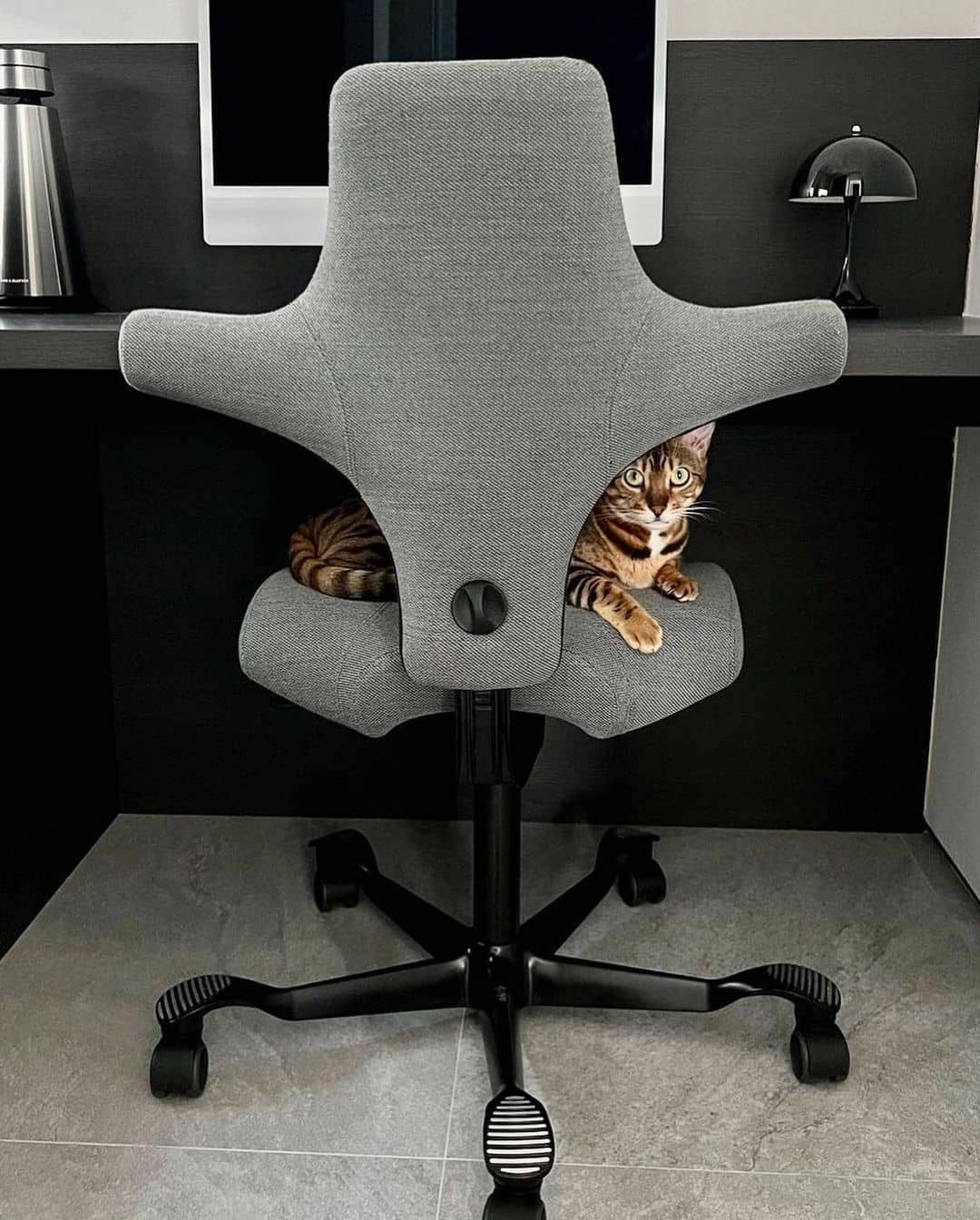 Håg Capisco chair