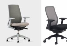 Haworth Soji vs Eurotech Vera (2026): Which Has Better Back Support? Soji vs Vera