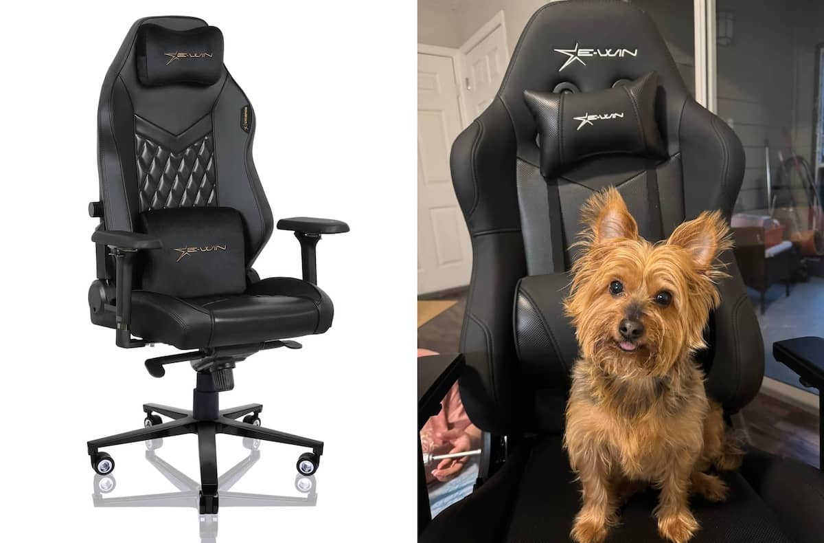 EWIN champion chair